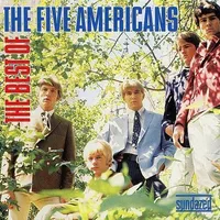 The Best Of The Five Americans