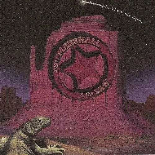 Roger Marshall & The Law - Hiding in the Wide Open vinyl record cover