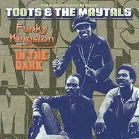 Funky Kingston / in the Dark