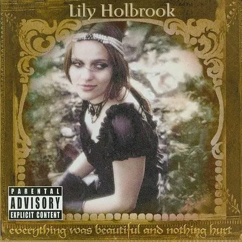 Lily Holbrook - Everything Was Beatiful & Nothing Hurt vinyl record cover