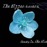 Honey in the Hive