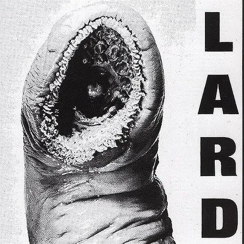Lard - Power of Lard vinyl record cover