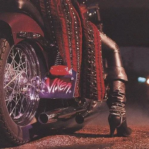 Vixen - Vixen (Bonus Tracks) vinyl record cover