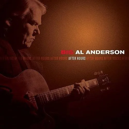 Al Anderson - After Hours vinyl record cover