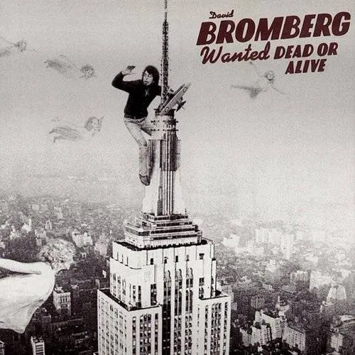 David Bromberg - Wanted Dead or Alive vinyl record cover