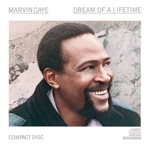 Marvin Gaye - Dream of a Lifetime vinyl record cover