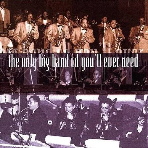 Only Big Band Cd Youll Eve - The Only Big Band CD You'll Ever Need vinyl record cover