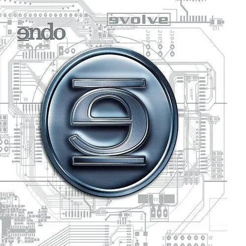 Endo - Evolve vinyl record cover