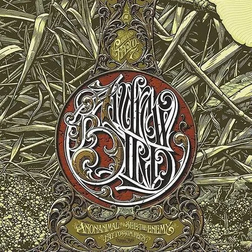 Andrew Bird - Anonanimal/See The Enemy vinyl record cover