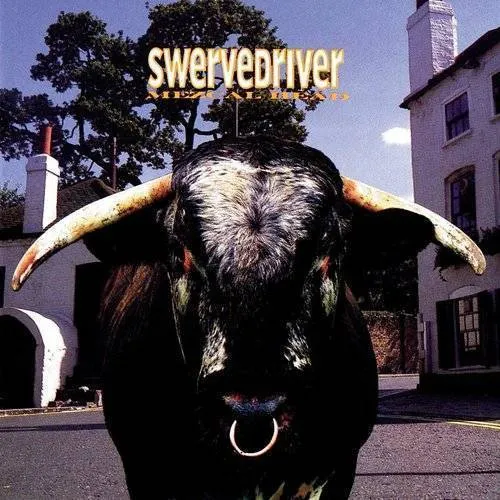 Swervedriver - Mezcal Head vinyl record cover