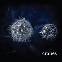 Cranes