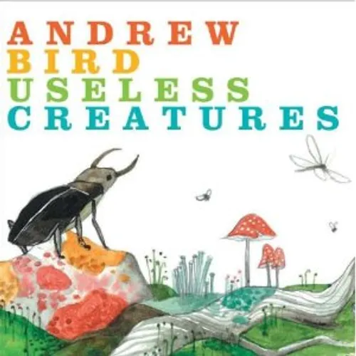 Andrew Bird - Useless vinyl record cover