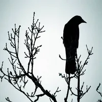 Closer To Death