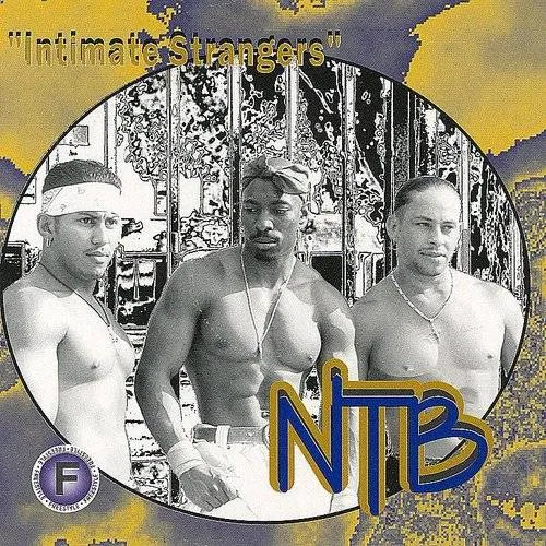 NTB - Intimate Strangers vinyl record cover