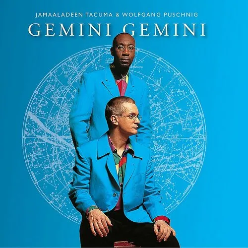 Artist - Gemini Gemini vinyl record cover