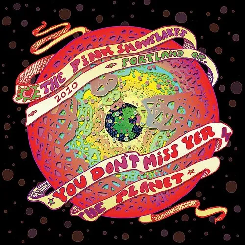 Pink Snowflakes - You Don't Miss Your Planet vinyl record cover