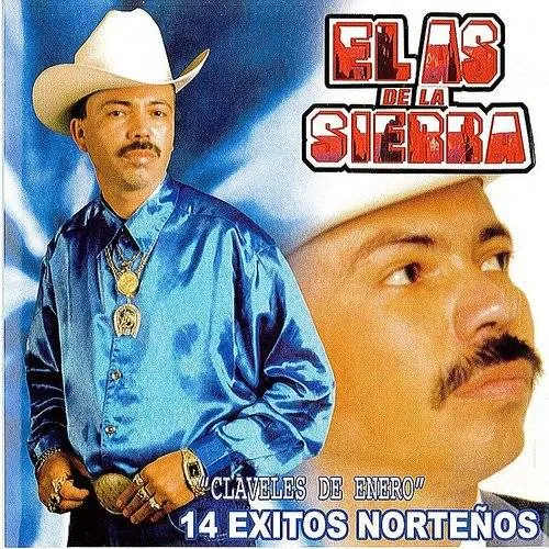 El As De La Sierra - Record Cleaning Brush vinyl record cover