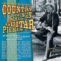 Country Swingin' 24 Great Dobro & Steel Guitar I