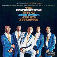 Instrumental Hits Of Buck Owens