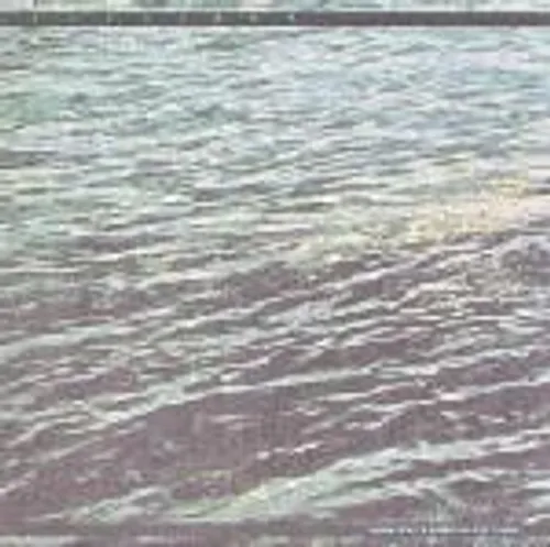 Prurient - Many Jewels Surround The Crown vinyl record cover
