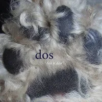 Dos y Dos