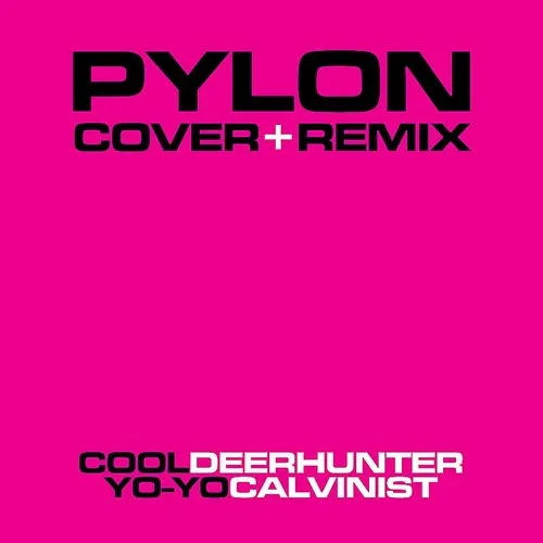 Pylon - Cover + Remix vinyl record cover
