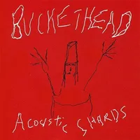 Acoustic Shards