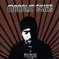 Moonlit Skies