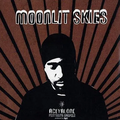 Aceyalone - Moonlit Skies vinyl record cover