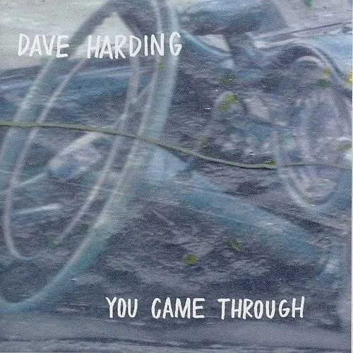 Mike Coykendall - You Came Through vinyl record cover