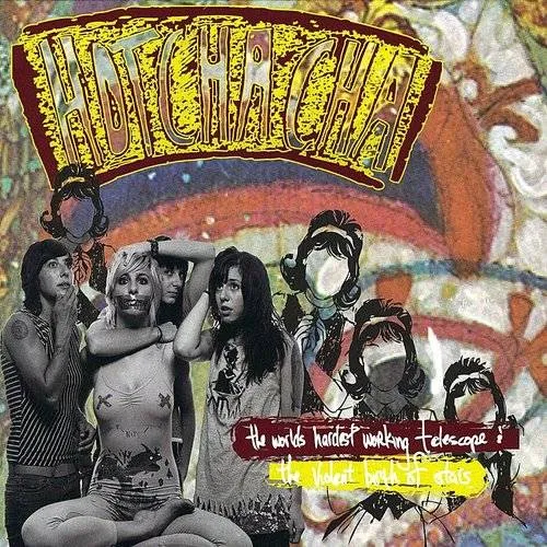 Hotchacha - Worlds Hardest Working Telescope & Violent Birth O vinyl record cover
