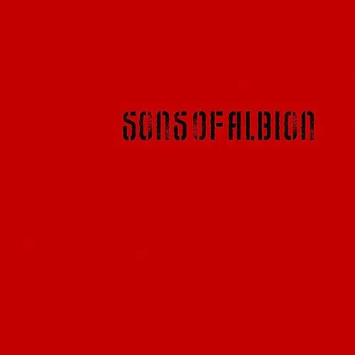 Sons Of Albion - Take A Look/Castles In The Sky vinyl record cover