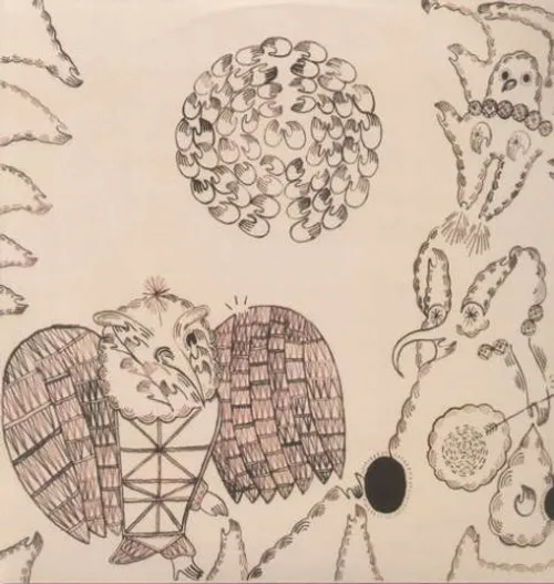 Devendra Banhart - Rejoicing in the Hands/Nino Rojo vinyl record cover