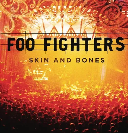 RVN Band - Skin & Bones vinyl record cover