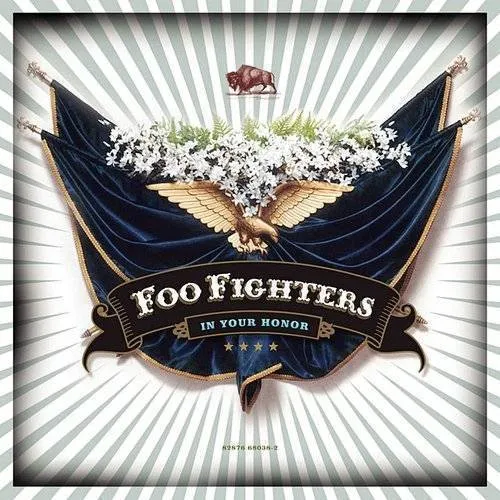 Foo Fighters - In Your Honor vinyl record cover