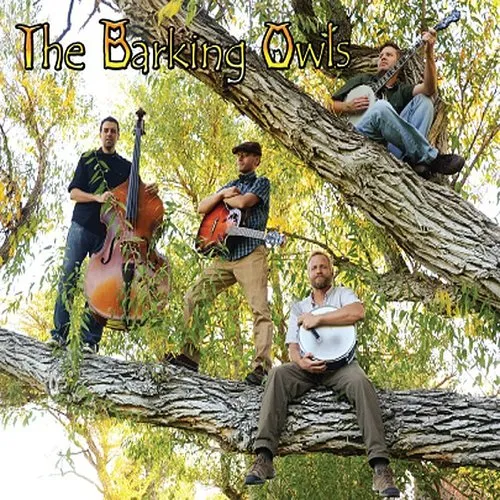 The Barking Owls - Barking Owls vinyl record cover