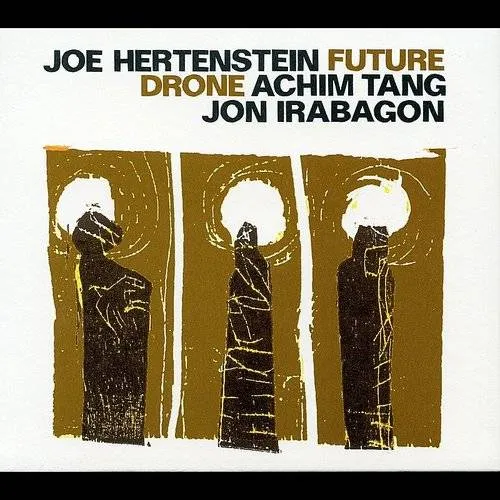 Joe Hertenstein - Future Drone vinyl record cover
