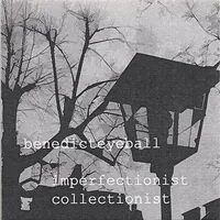 Imperfectionist Collectionist EP