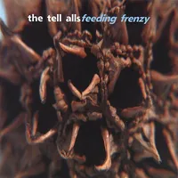 Feeding Frenzy