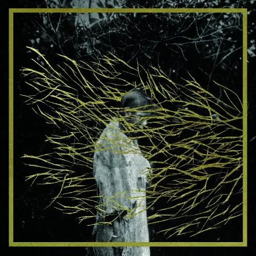 Forest Swords - Engravings vinyl record cover