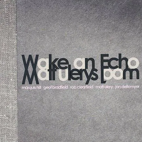 Matt Ulery's Loom - Wake An Echo vinyl record cover