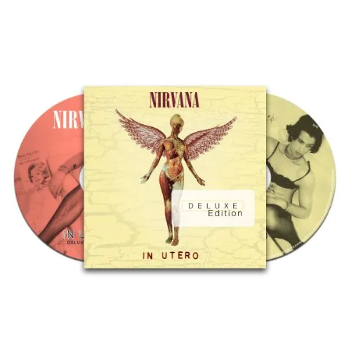 Nirvana - In Utero: 20th Anniversary vinyl record cover