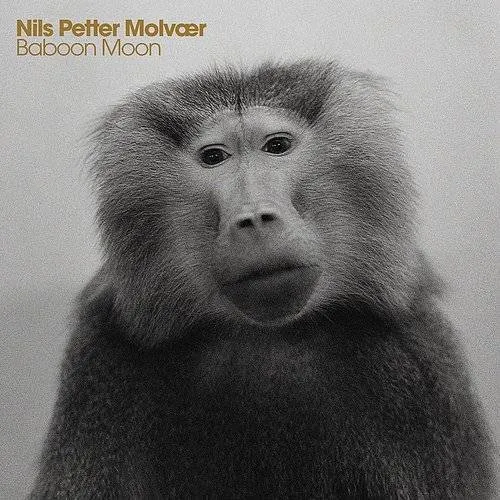 Nils Petter Molvaer - Baboon Moon vinyl record cover