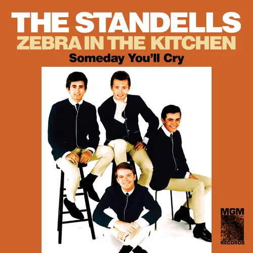 The Standells - Zebra In The Kitchen/Someday You'll Cry vinyl record cover