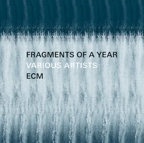 Fragments of a Year