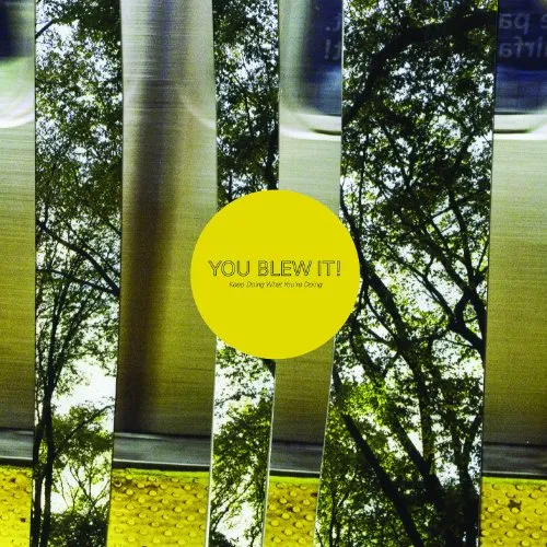 You Blew It! - Keep Doing What You're Doing vinyl record cover