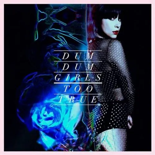 Dum Dum Girls - Too True vinyl record cover