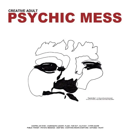 Creative Adult - Psychic Mess vinyl record cover
