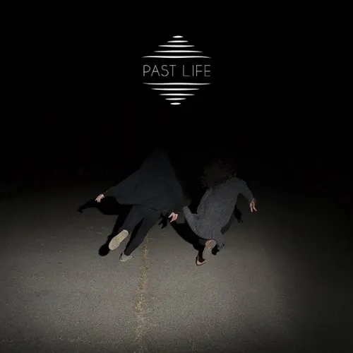 Lost In The Trees - Past Life vinyl record cover