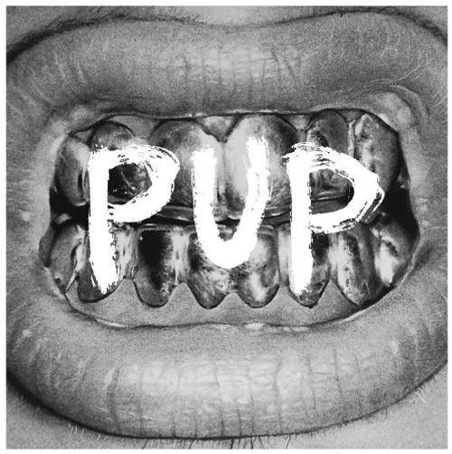Pup - Pup vinyl record cover